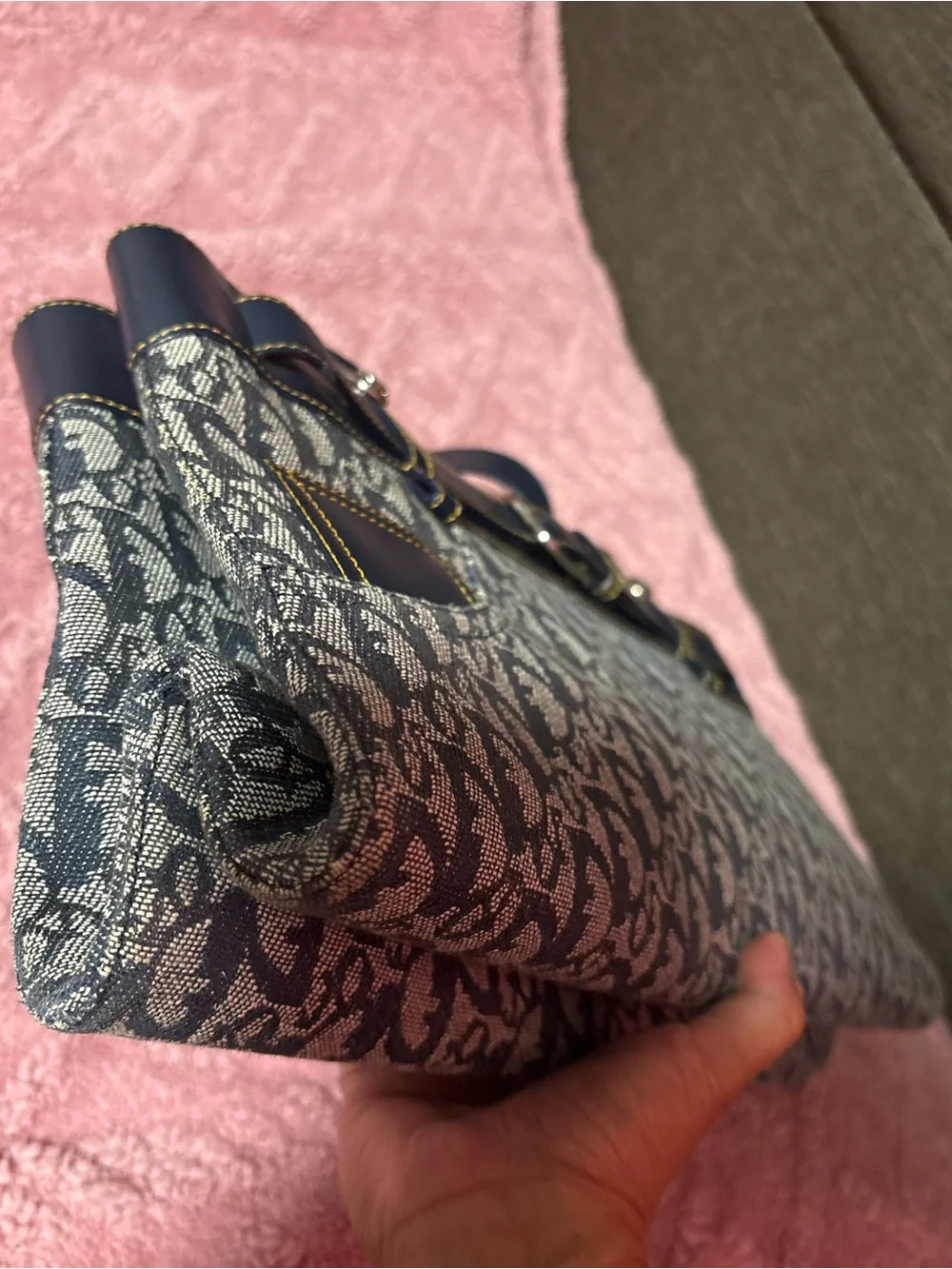 Christian Dior Trotter Tote Bag